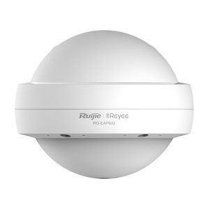 RG-EAP602